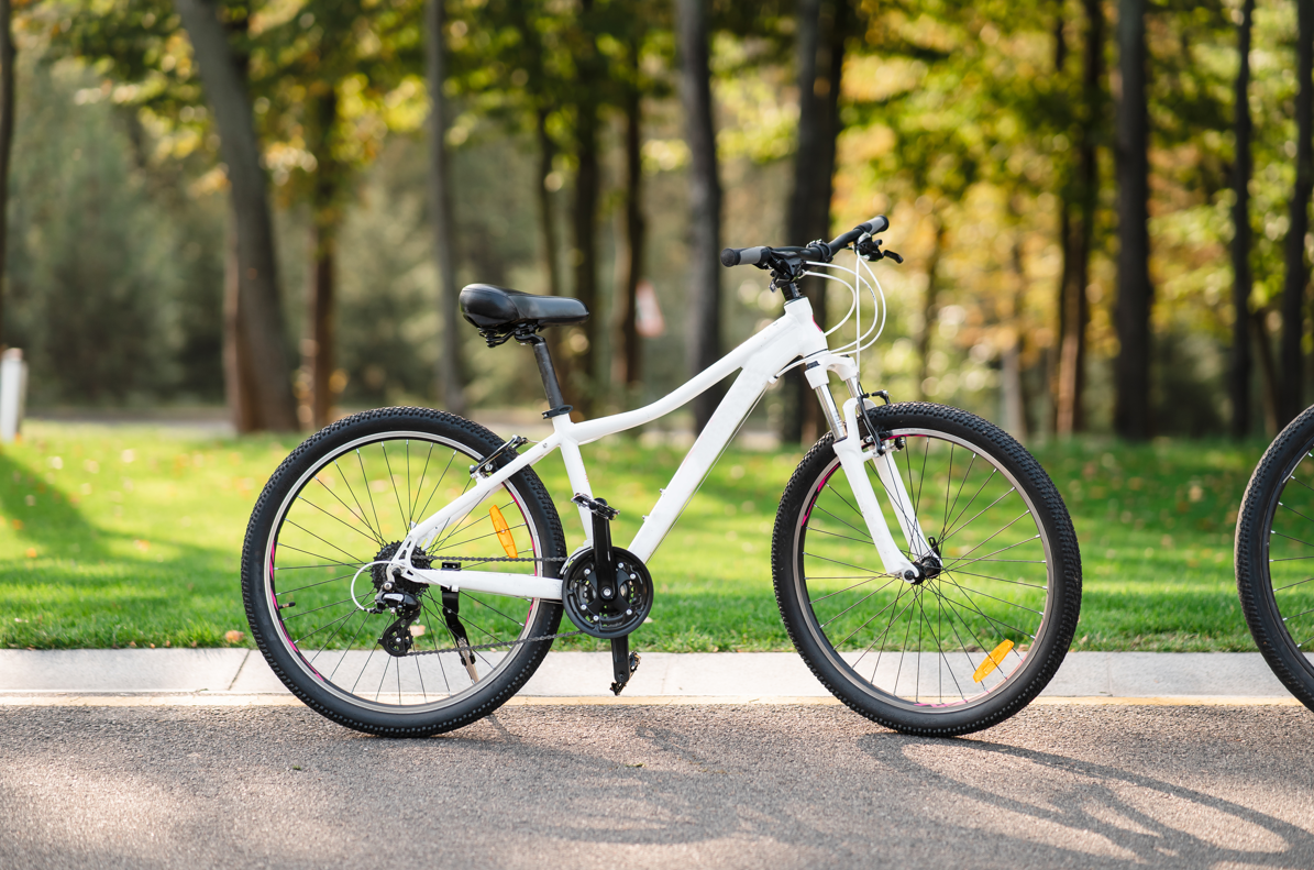 Hybrid bike picture